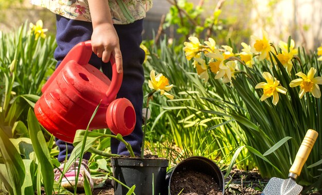 kleines Mädchen, das Blumen im Garten pflanzt