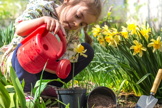 kleines Mädchen, das Blumen im Garten pflanzt