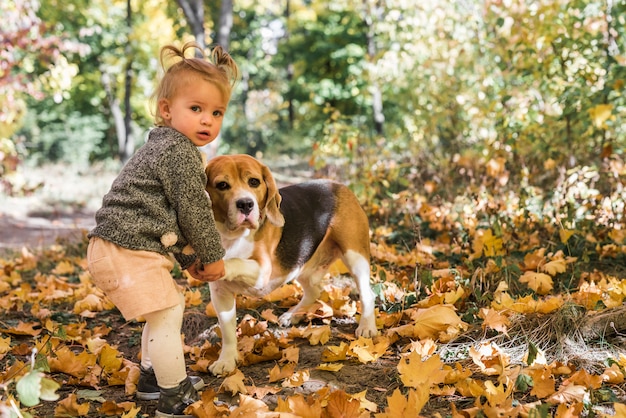 Kleines Mädchen, das Händedruck mit Spürhundhund im Wald tut