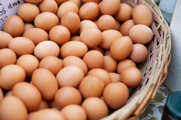 Öko-Eier-Lebensmittel hautnah
