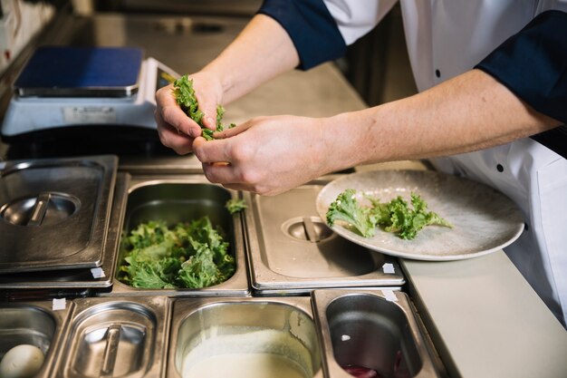 Kochen Sie das Setzen des grünen Kopfsalates auf Platte