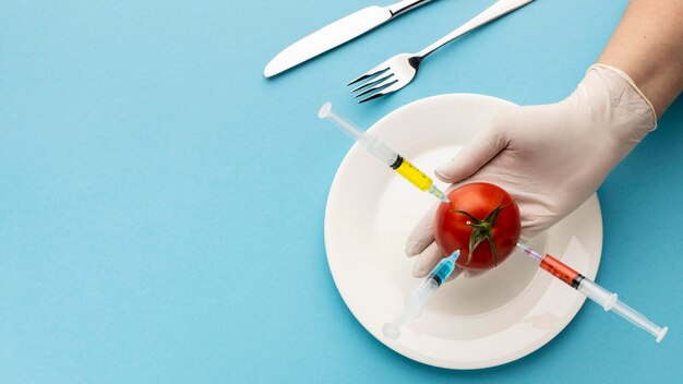 Köstliche Tomaten gmo modifiziertes Essen