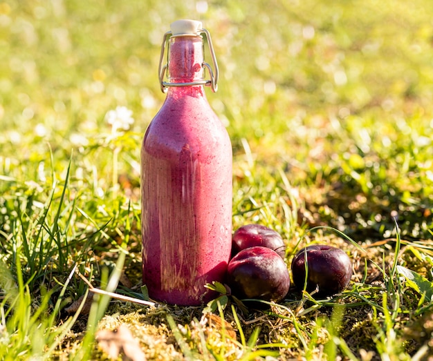 Köstlicher Fruchtsaft auf Gras