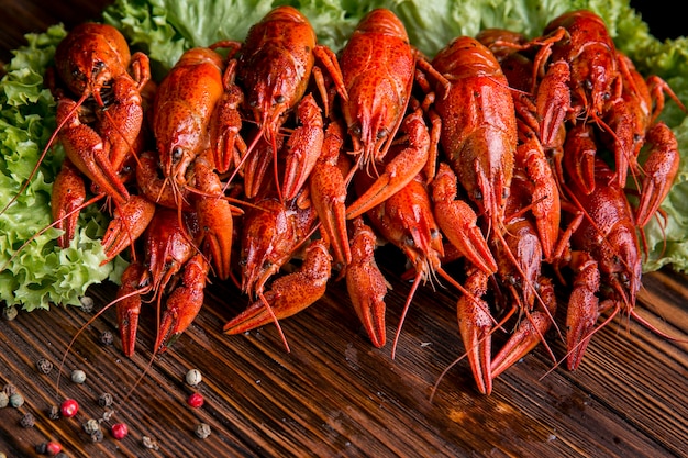 Köstlicher Meeresfrüchte-Hummer auf Salat