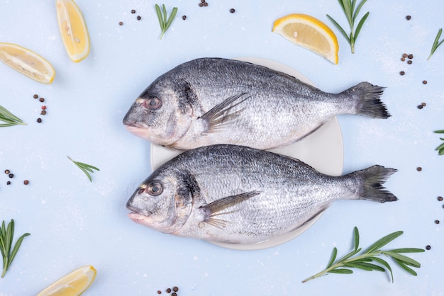 Köstlicher roher Brassenfisch mit Zutaten