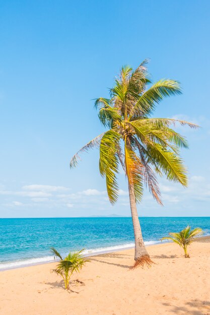 Kokosnussbaum am Strand