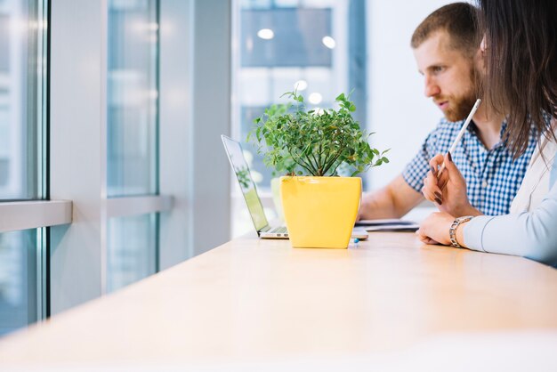 Kollegen arbeiten in der Nähe von Pflanzen