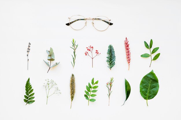 Komposition mit Blättern und Gläsern