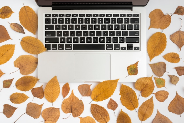 Komposition mit Herbstlaub und Laptop