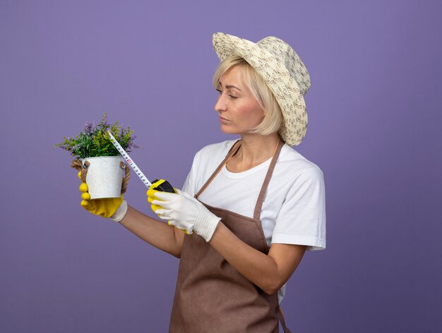 konzentrierte blonde Gärtnerin mittleren Alters in Uniform mit Hut und Gartenhandschuhen, die in der Profilansicht steht und den Blumentopf mit einem Bandmesser anschaut und misst