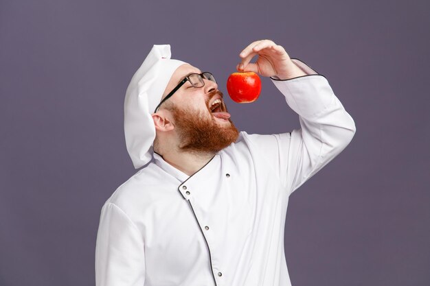 Konzentrierter junger Koch mit einheitlicher Brille und Mütze, der einen Apfel über dem Mund hält und ihn anschaut und die Zunge zeigt, die sich bereit macht, einen Apfel isoliert auf violettem Hintergrund zu essen