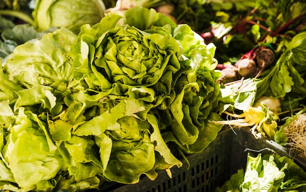Kopfsalat mit grünem Gemüse auf Markt klemmen am Gemischtwarenladen der Biobauern fest