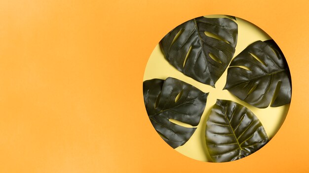 Kopie-Raumkreis mit Blättern nach innen