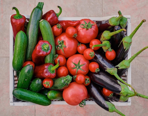 Korb mit frischem Saisongemüse vom Bauernmarkt frische Naturprodukte der Saison mit Lieferung für eine gesunde und abwechslungsreiche Ernährung die Basis eines erfüllten Lebens Draufsicht