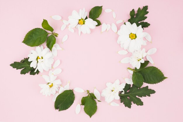 Kreisrahmen gemacht mit weißen Blumen und Blättern auf rosa Hintergrund