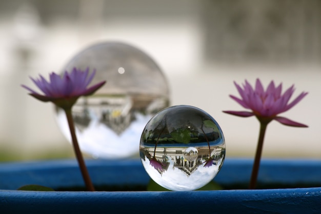 Kristallkugel mit zwei lila Blumen daneben