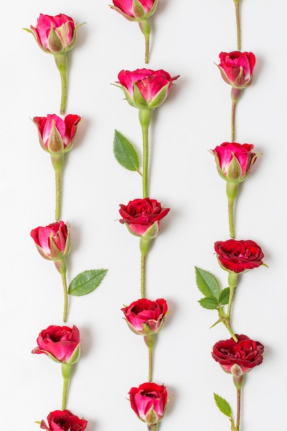 Kostenloses Foto künstlerisches konzept der roten rosen der nahaufnahme