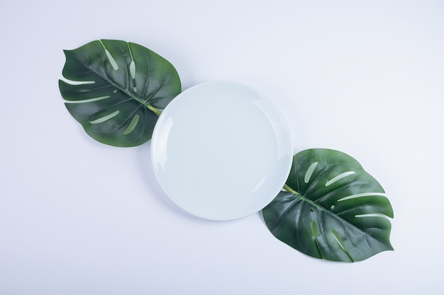 Künstliche grüne Blätter und weiße Platte auf weißer Oberfläche.