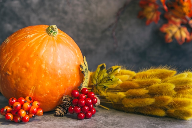 Kostenloses Foto kürbis mit beeren und pflanze