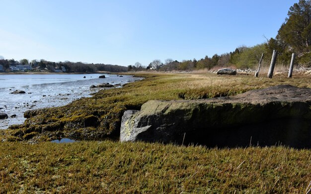 Küstenstrand mit Salzwiesen und Seegras