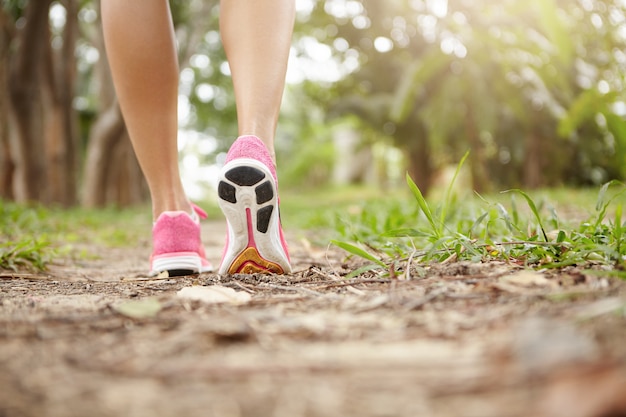 Kurzer Schuss des Athletenmädchens in den rosa Laufschuhen, die im Wald am sonnigen Tag wandern. Passen Sie die schlanken Beine einer sportlichen Frau während des Jogging-Trainings in Turnschuhe. Selektiver Fokus auf Sohle.