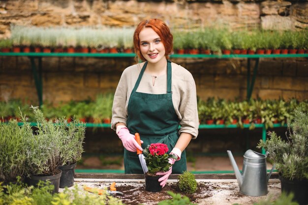 Lächelnde Dame in Schürze und rosafarbenen Handschuhen mit kleiner Gartenschaufel, während sie eine Blume in einen Topf pflanzt und glücklich in die Kamera im Gewächshaus schaut