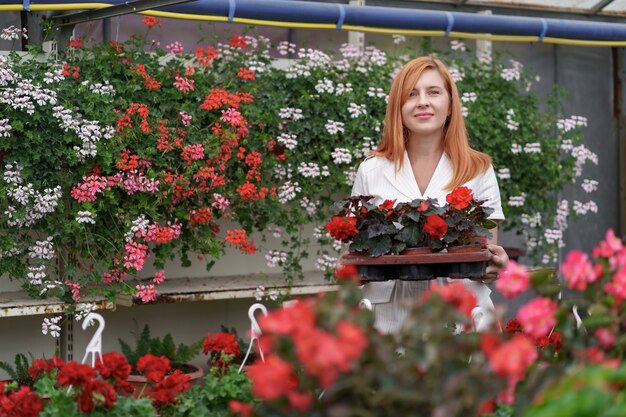 Lächelnde glückliche Floristin in ihrem Kinderzimmer, die eine rote Geranie im Topf in ihren Händen hält, während sie sich um die Gartenpflanzen im Gewächshaus kümmert