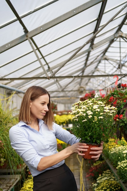 Lächelnde glückliche Floristin in ihrem Kinderzimmer, die Topfchrysanthemen in ihren Händen hält, während sie sich um die Gartenpflanzen im Gewächshaus kümmert