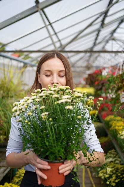 Lächelnde glückliche Floristin in ihrem Kinderzimmer, die Topfchrysanthemen in ihren Händen hält, während sie sich um die Gartenpflanzen im Gewächshaus kümmert