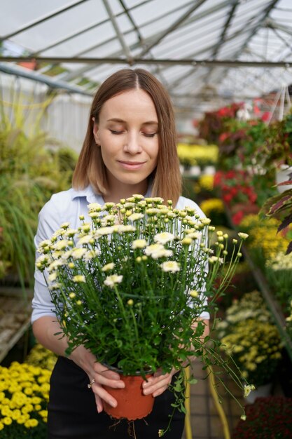 Lächelnde glückliche Floristin in ihrem Kinderzimmer, die Topfchrysanthemen in ihren Händen hält, während sie sich um die Gartenpflanzen im Gewächshaus kümmert