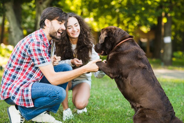 Lächelnde junge Paare, die Spaß mit ihrem Hund im Park haben