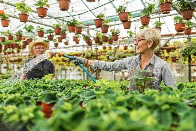 Lächelnde Seniorin, die Blumen mit Gartenschlauch gießt, während sie in der Gärtnerei arbeitet