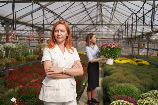 Lächelnder Gewächshausbesitzer posiert mit verschränkten Armen mit vielen Blumen und einem Kollegen, der einen Topf mit rosa Chrysanthemen unter Glasdach hält