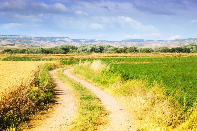 Ländliche Landschaft mit Feldern. Aragon
