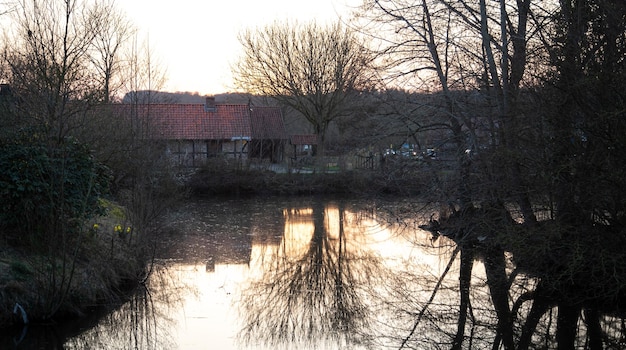 Kostenloses Foto ländliche landschaft reflexion eines baumes in einem teich bei sonnenuntergang