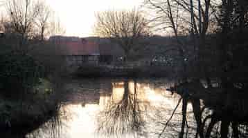 Kostenloses Foto ländliche landschaft reflexion eines baumes in einem teich bei sonnenuntergang