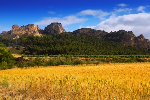 Ländliche Landschaft