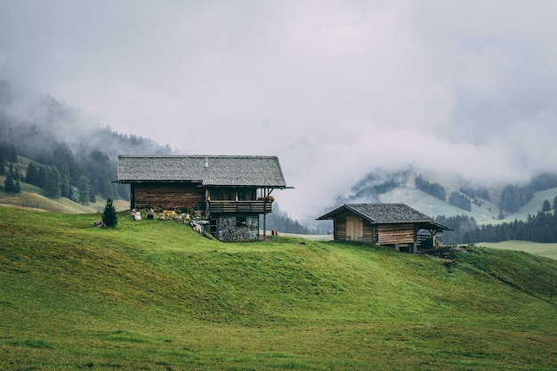 Ländliches Gebiet mit Holzhäusern, umgeben von Wäldern mit im Nebel bedeckten Hügeln