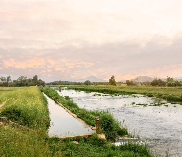 Ländliches Konzept mit Fluss und Feld