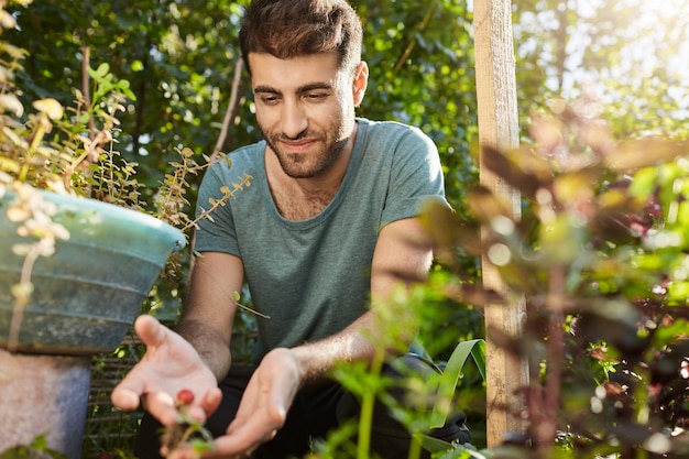 Ländliches Leben. Nahaufnahme des jungen attraktiven bärtigen hispanischen Bauern im blauen T-Shirt, das auf seiner Farm arbeitet, Beeren pflückt, Samen pflanzt. Gärtner, der über Pflanzen im Garten schaut