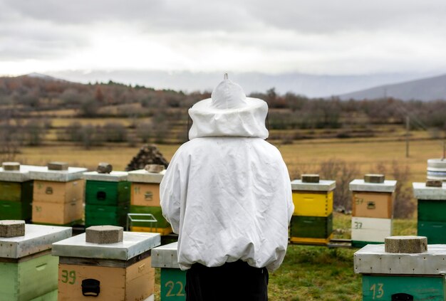Landlebensstilkonzept mit Bienenstöcken
