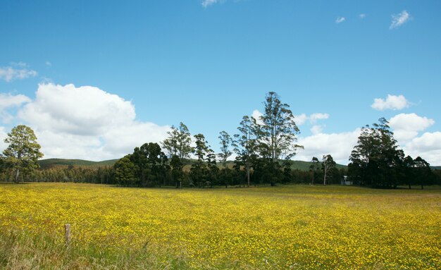 Landschaft an einem schönen Tag