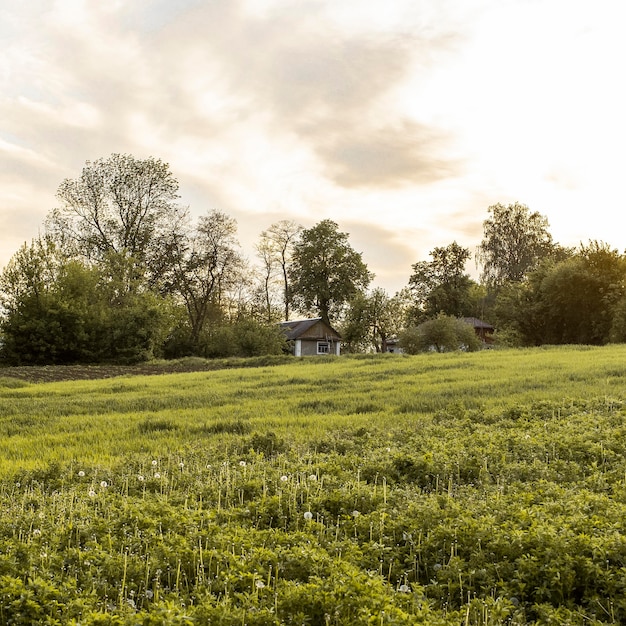 Landschaft Bauernhof Landschaft