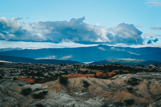 Landschaft der Berge und Büsche