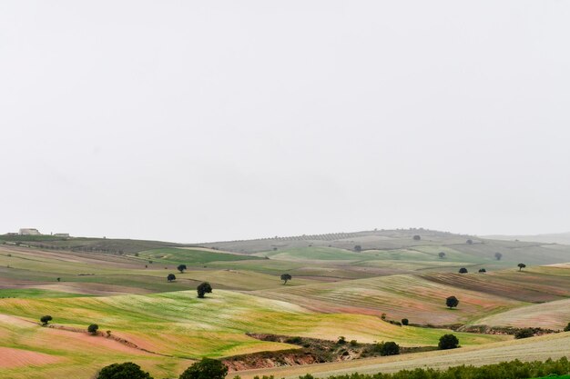 Landschaft der dehesa cerealistica der östlichen berge von granada - spanien
