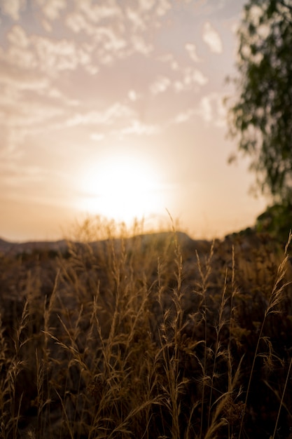 Landschaft der Natur