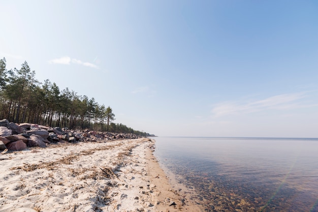 Landschaft des paradiesischen Tropeninselstrandes mit Bäumen gegen blauen Himmel