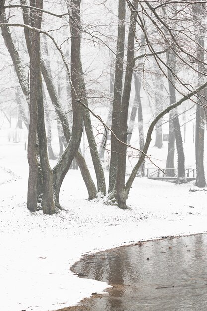 Landschaft des verschneiten Winters mit Bäumen und Fluss