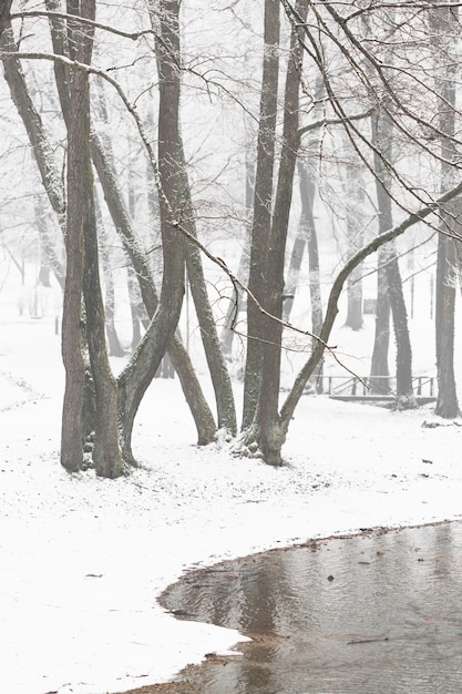 Landschaft des verschneiten Winters mit Bäumen und Fluss