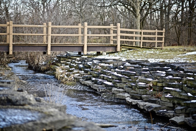 Landschaft einer Brücke über einen Fluss mitten in einem Wald